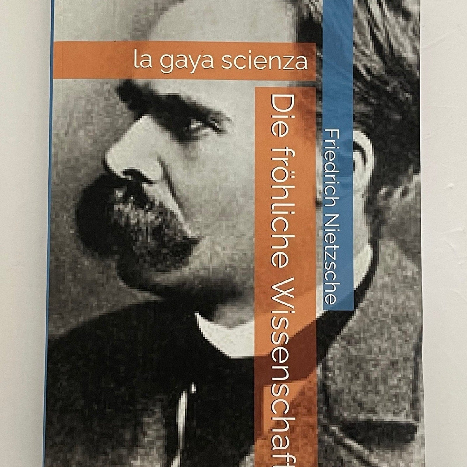 Die Frohliche Wissenschaft: ("La Gaya Scienza") (German Edition)